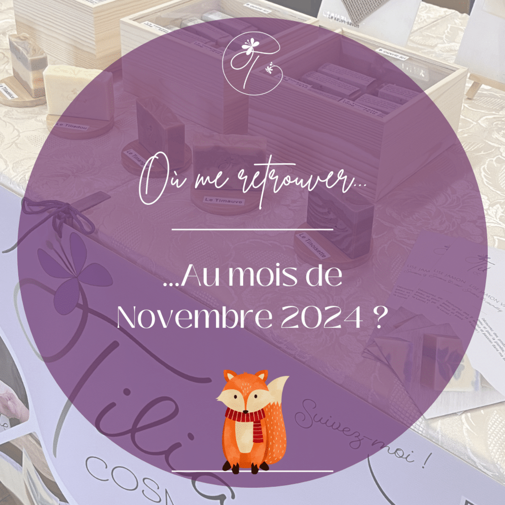 Ou me trouver en novembre 2024
