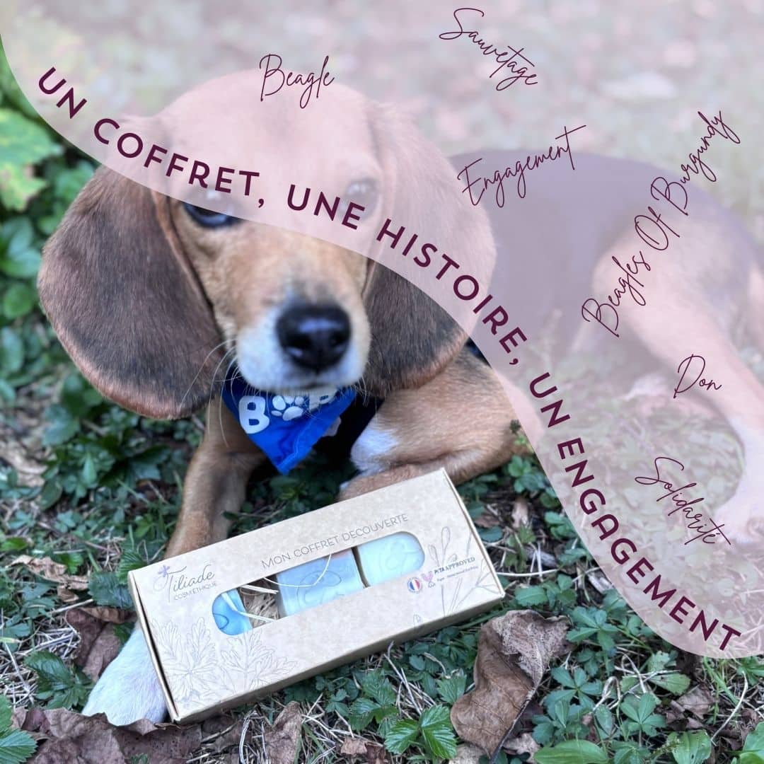 Un coffret, une histoire, un engagement