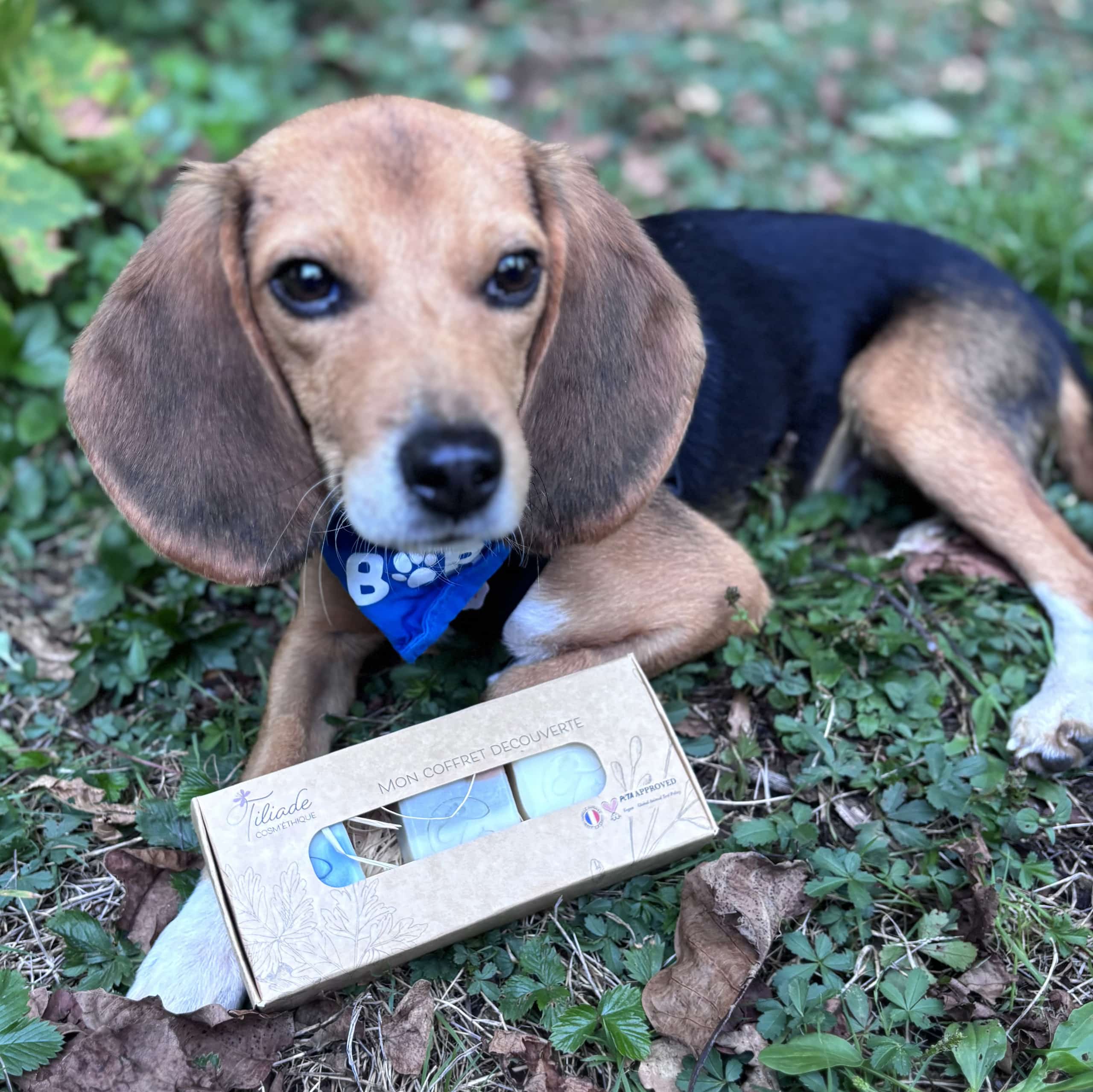 Mon coffret découverte – Image 3