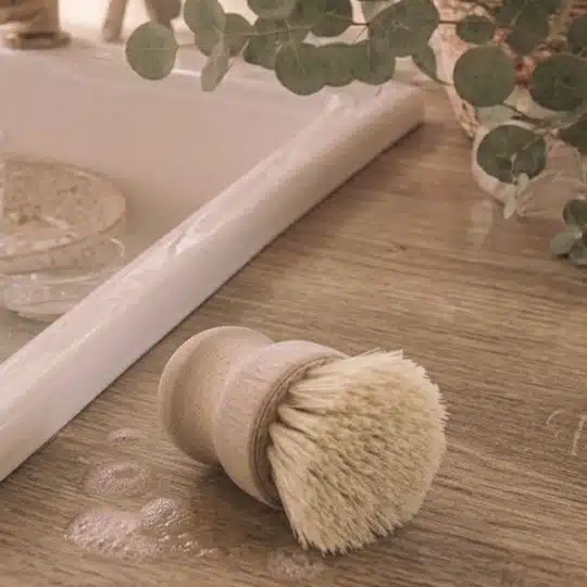Brosse vaisselle