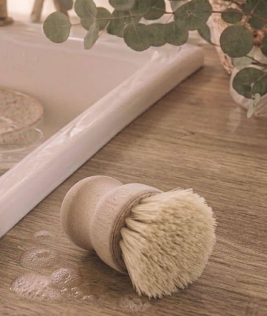 Brosse vaisselle
