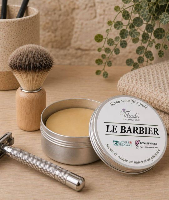 Le barbier - présentation et mise en scène