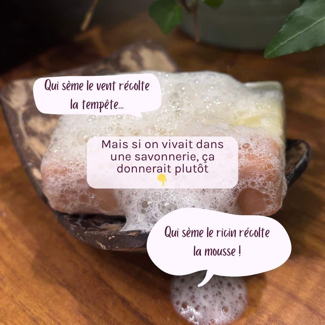 Savon saponifié à froid - qui sème le ricin récolte la mousse